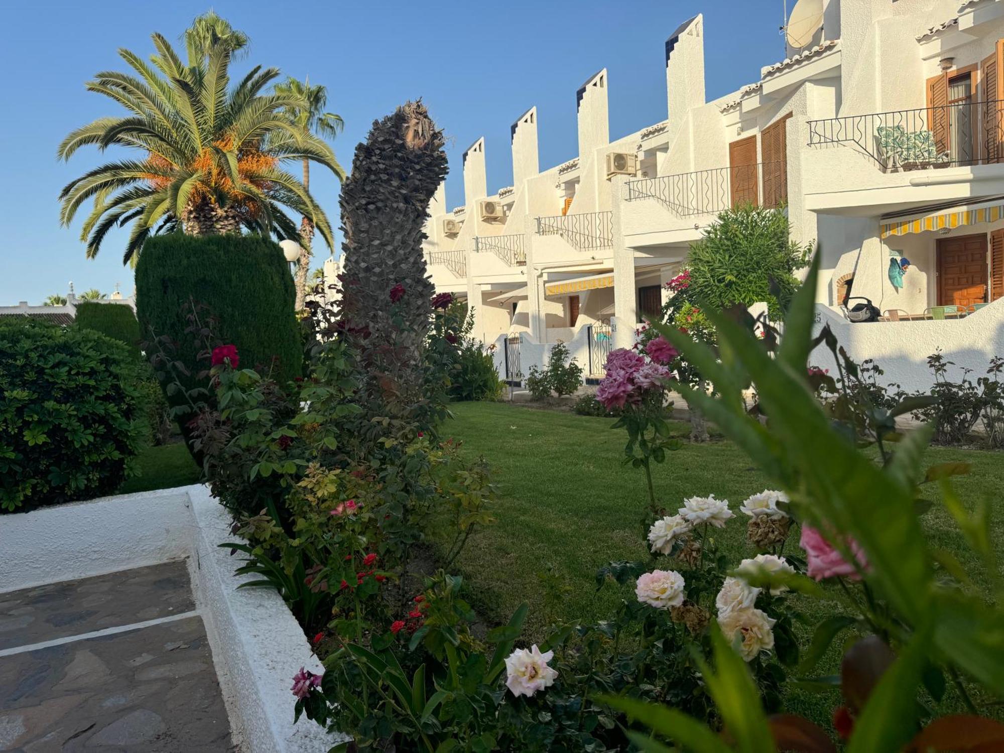 Contemporary House In Cabo Roig Villa Orihuela Dış mekan fotoğraf