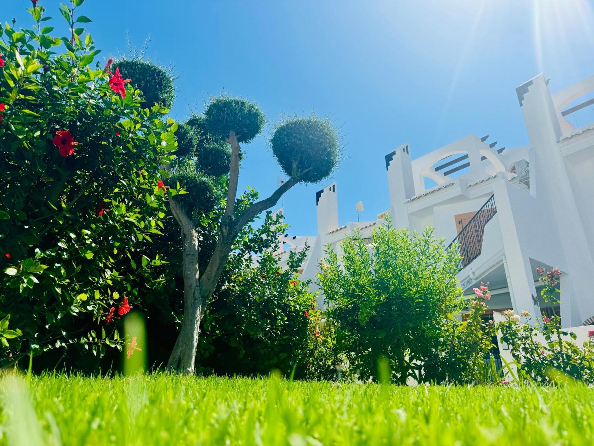 Contemporary House In Cabo Roig Villa Orihuela Dış mekan fotoğraf